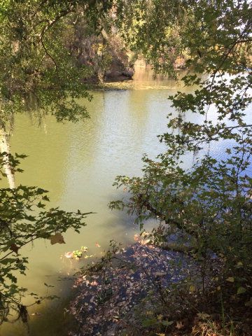 431 Us Hwy 431, Eufaula, AL 36027